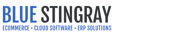 Marc Bowers Partnership with Blue Stingray Brings New Opportunities in Enterprise Software Solutions
